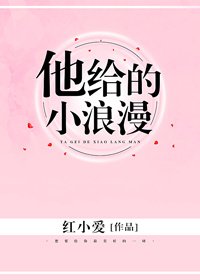 他給的小浪漫